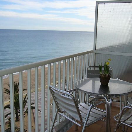 Apartaments El Sorrall Бланес Номер фото